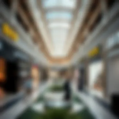 Magnificent Comprehensive Overview of Brands at Dubai Outlet Mall