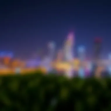 Magnificent Exploring Damac Harbour Lights: A Comprehensive Overview Magnificent Exploring Damac Harbour Lights: A Comprehensive Overview