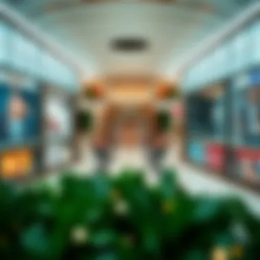 Magnificent Exploring Damac Hills Mall: A Comprehensive Overview Magnificent Exploring Damac Hills Mall: A Comprehensive Overview