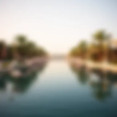 Magnificent Exploring Flamingo Lake: An Oasis of Love and Nature in Dubai Magnificent Exploring Flamingo Lake: An Oasis of Love and Nature in Dubai