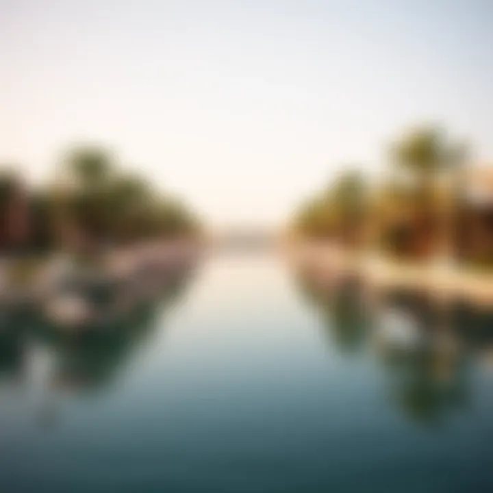 Magnificent Exploring Flamingo Lake: An Oasis of Love and Nature in Dubai Magnificent Exploring Flamingo Lake: An Oasis of Love and Nature in Dubai