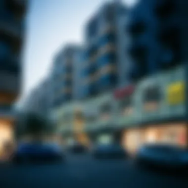 Magnificent Exploring Shops for Rent on Deira Naif Road Magnificent Exploring Shops for Rent on Deira Naif Road