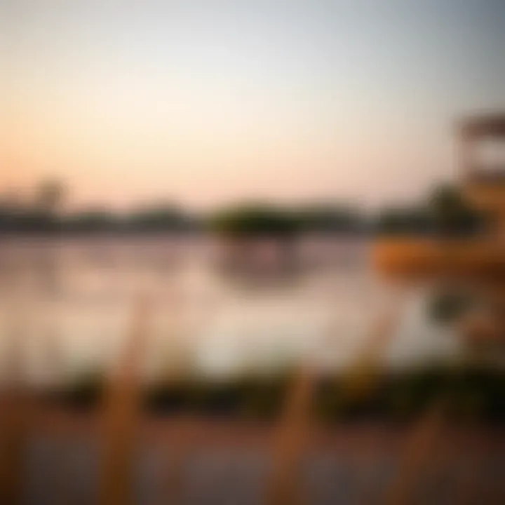 Magnificent Flamingo Lake Dubai: An Insightful Exploration