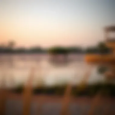 Magnificent Flamingo Lake Dubai: An Insightful Exploration Magnificent Flamingo Lake Dubai: An Insightful Exploration
