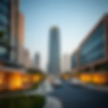 Magnificent The Landscape of Expatriates in Dubai: Insights and Implications Magnificent The Landscape of Expatriates in Dubai: Insights and Implications