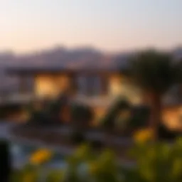 Eden the Valley: A Comprehensive Exploration of Dubai's Innovative Real Estate Project Introduction