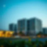 Overview of Esaad program benefits