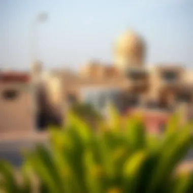 Illustration of demographic diversity in Al-Nuaimiyya