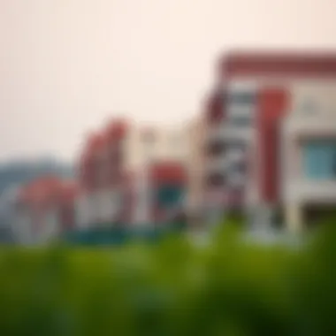 Demographic Profile of Al Ahli Jebel Ali Demographic diversity of Al Ahli Jebel Ali residents