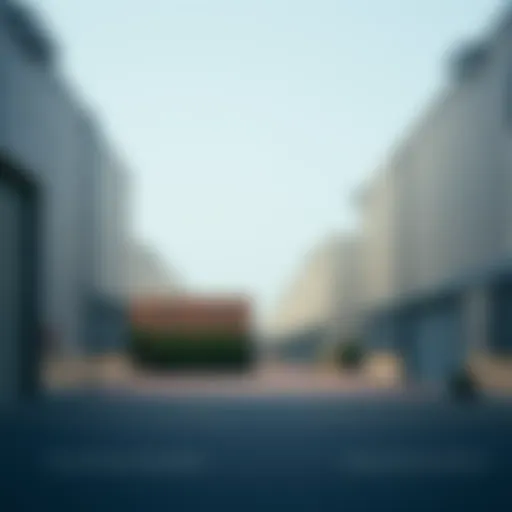 Exploring Cold Storage for Rent in Dubai Introduction