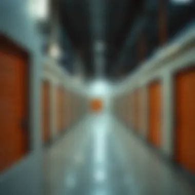 Notable Exploring Cold Storage for Rent in Dubai Notable Exploring Cold Storage for Rent in Dubai