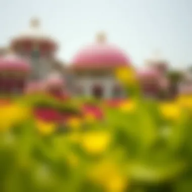 Exploring Dubai Miracle Garden Tickets: A Comprehensive Guide Introduction Exploring Dubai Miracle Garden Tickets: A Comprehensive Guide Introduction