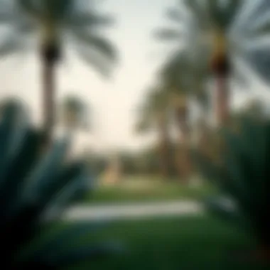 Notable Exploring Dubai's Parks: A Guide to Urban Green Spaces Notable Exploring Dubai's Parks: A Guide to Urban Green Spaces