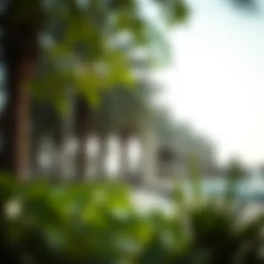 Exploring Dubai's Parks: A Guide to Urban Green Spaces Summary Exploring Dubai's Parks: A Guide to Urban Green Spaces Summary