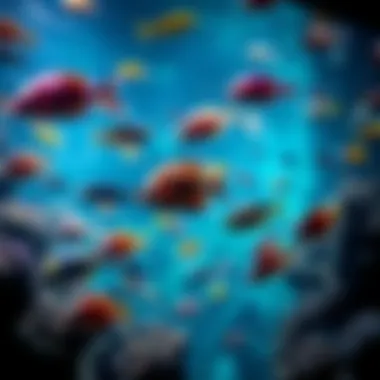 Diverse Marine Life on Display Vibrant marine life within the aquarium, featuring various species swimming gracefully