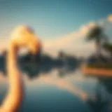 Exploring Flamingo Lake: An Oasis of Love and Nature in Dubai Introduction Exploring Flamingo Lake: An Oasis of Love and Nature in Dubai Introduction