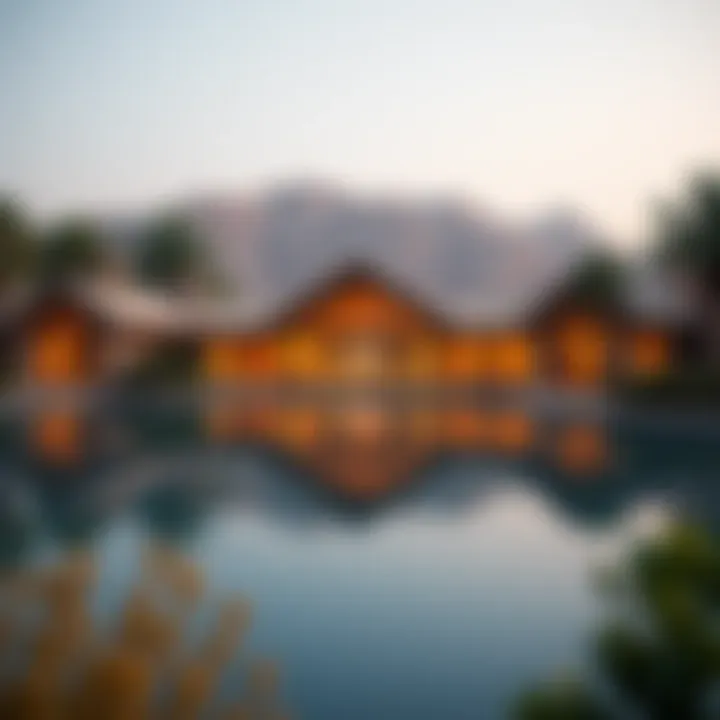 Exploring Flamingo Lake: An Oasis of Love and Nature in Dubai Summary Exploring Flamingo Lake: An Oasis of Love and Nature in Dubai Summary