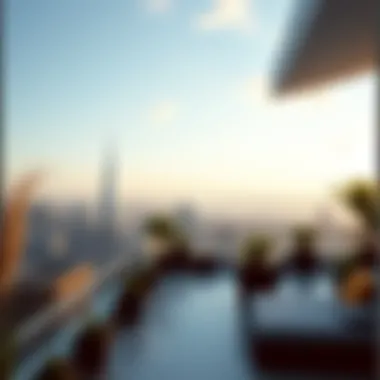 Breathtaking view from فندق سلس دبي rooftop