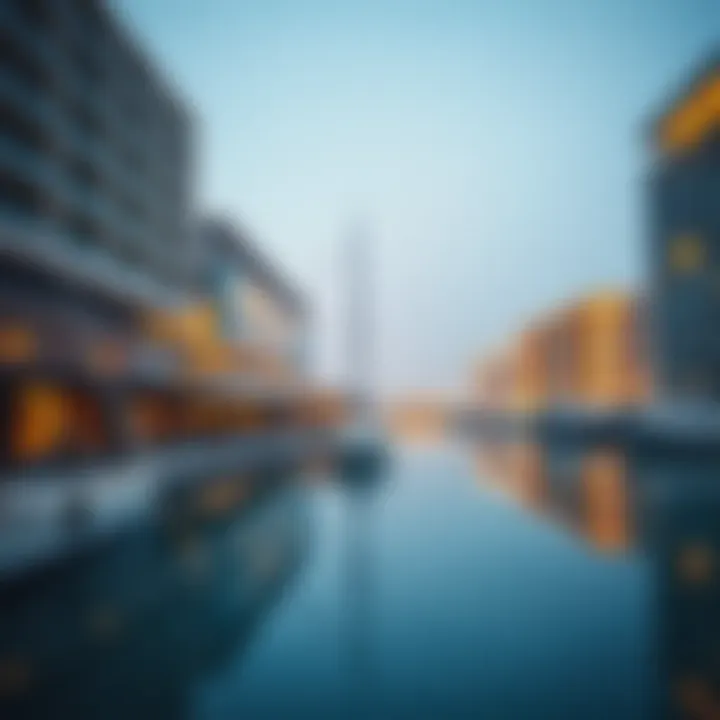 Modern marina facilities at Jebel Ali Waterfront reflecting unique architecture