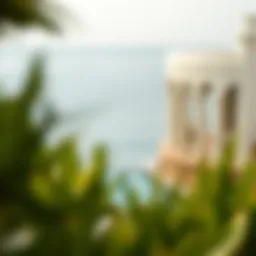 Exploring جزيرة الماريه: A Detailed Insight into a Unique Destination Introduction