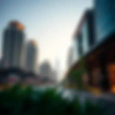 Exploring Makani Number Tracking in Dubai Real Estate Summary