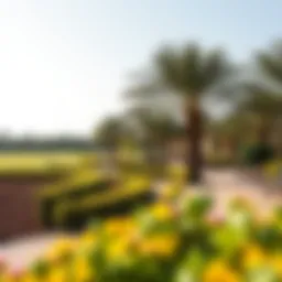 A scenic view of Mirdif's lush parks and recreational areas