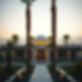Exploring Palm Hills: An Insightful Overview Introduction