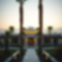Exploring Palm Hills: An Insightful Overview Introduction