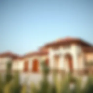 Notable Exploring the Charm of Farmhouses in Ajman Notable Exploring the Charm of Farmhouses in Ajman