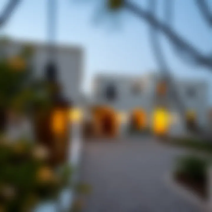 Exploring the Charm of Farmhouses in Ajman Summary