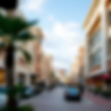 Exploring the Concept of Outlet Village Malls Summary Exploring the Concept of Outlet Village Malls Summary