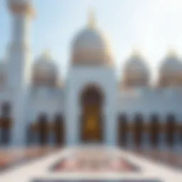 The breathtaking exterior of Dubai's grand mosque showcasing intricate designs