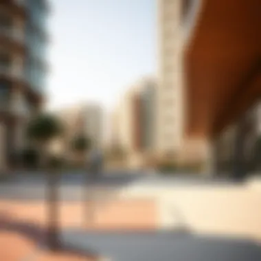 Exploring the Landscape of Housing in Dubai Summary
