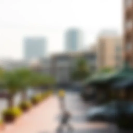 Exploring the Urban Landscape: An In-Depth Look at City Walks in Dubai Introduction
