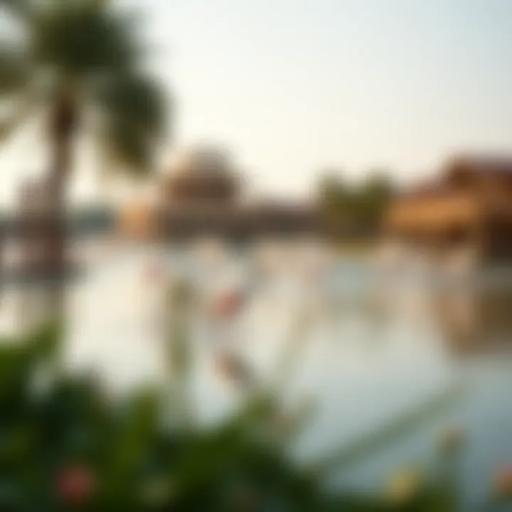 Notable Flamingo Lake Dubai: An Insightful Exploration