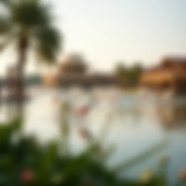 Notable Flamingo Lake Dubai: An Insightful Exploration Notable Flamingo Lake Dubai: An Insightful Exploration