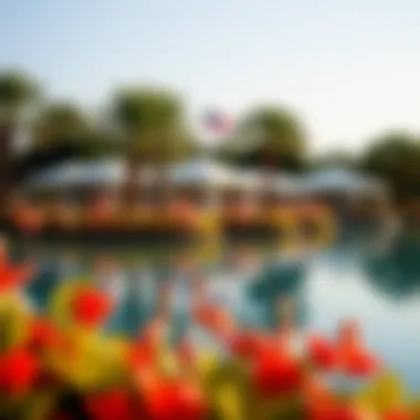 Flamingo Lake Dubai: An Insightful Exploration Summary Flamingo Lake Dubai: An Insightful Exploration Summary