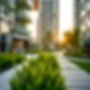 Engaging Communities: The Role of Green Spaces in Urban Living Community engagement in green spaces