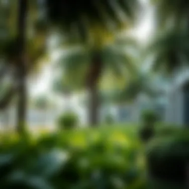 Urban Oasis: Lush Greenery in Dubai Lush greenery in urban setting