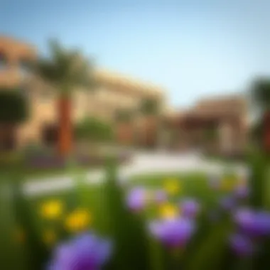 Stunning Outdoor Amenities at Marjan Beautiful outdoor amenities and landscaping in Marjan community