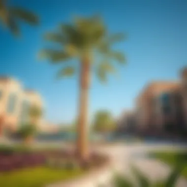 Modern Community Amenities in Masar Community amenities in Masar providing modern lifestyle options