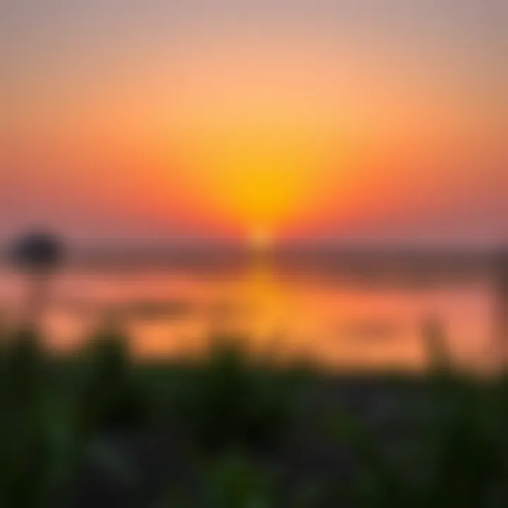 A tranquil sunset over the wetlands of Ras Al Khor, reflecting the sanctuary's serene atmosphere.