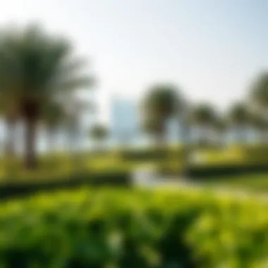 Lush green spaces and recreational areas on Reem Island