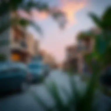 Traditional Architecture in Al Ain A picturesque residential neighborhood in Al Ain showcasing traditional architecture.