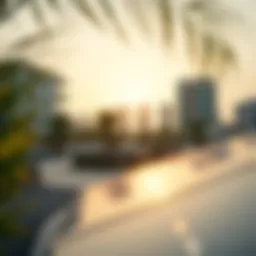 Solar Panel Solutions in Dubai's Real Estate Landscape Introduction