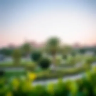 Enhancing Lifestyle Quality with Parks A tranquil parkside environment enhancing lifestyle quality