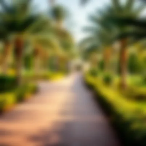 Lush park pathways in Dubai