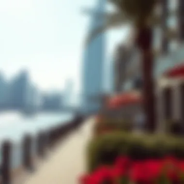Embracing Nature at Dubai's Waterfront Scenic waterfront promenade